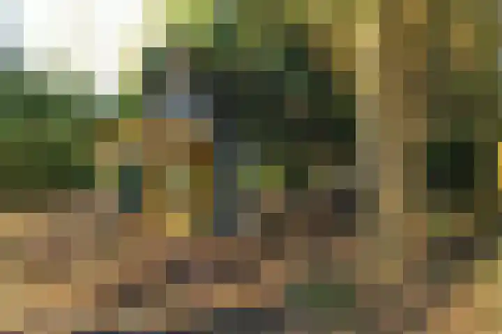 Fresia 39 Vinkel thumbnail 8