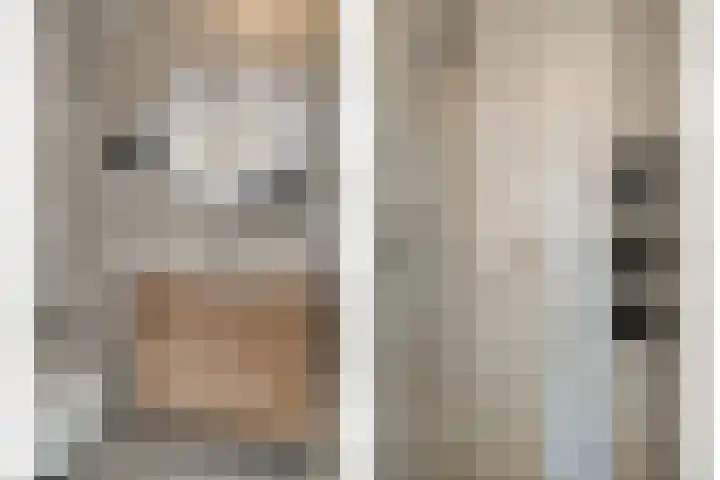 Fresiatuin 16 Pijnacker thumbnail 14