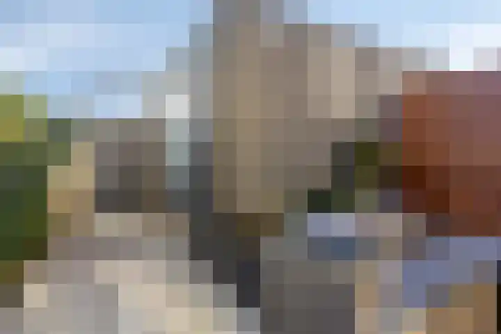 Fresiatuin 16 Pijnacker thumbnail 19