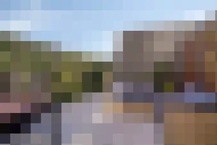 Fresiatuin 16 Pijnacker foto 2