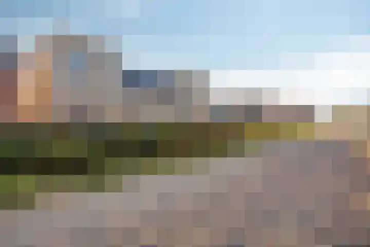 Fresiatuin 16 Pijnacker thumbnail 21