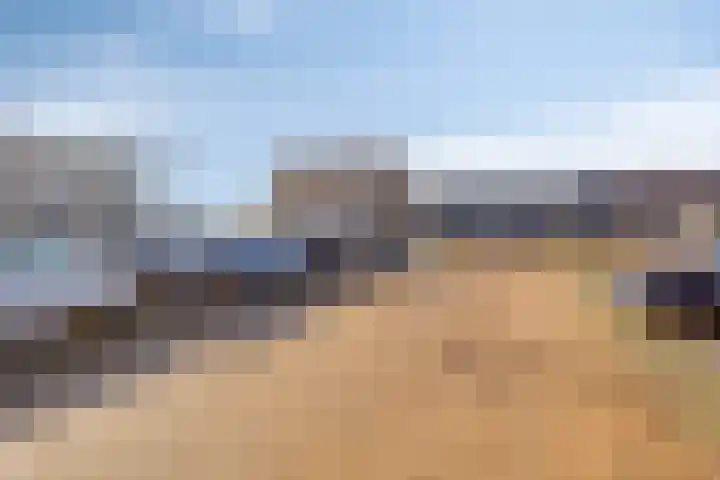 Fresiatuin 16 Pijnacker thumbnail 22