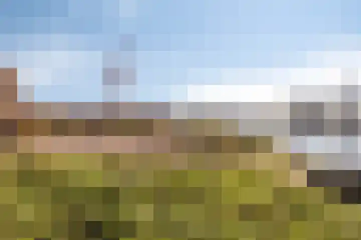 Fresiatuin 16 Pijnacker thumbnail 24