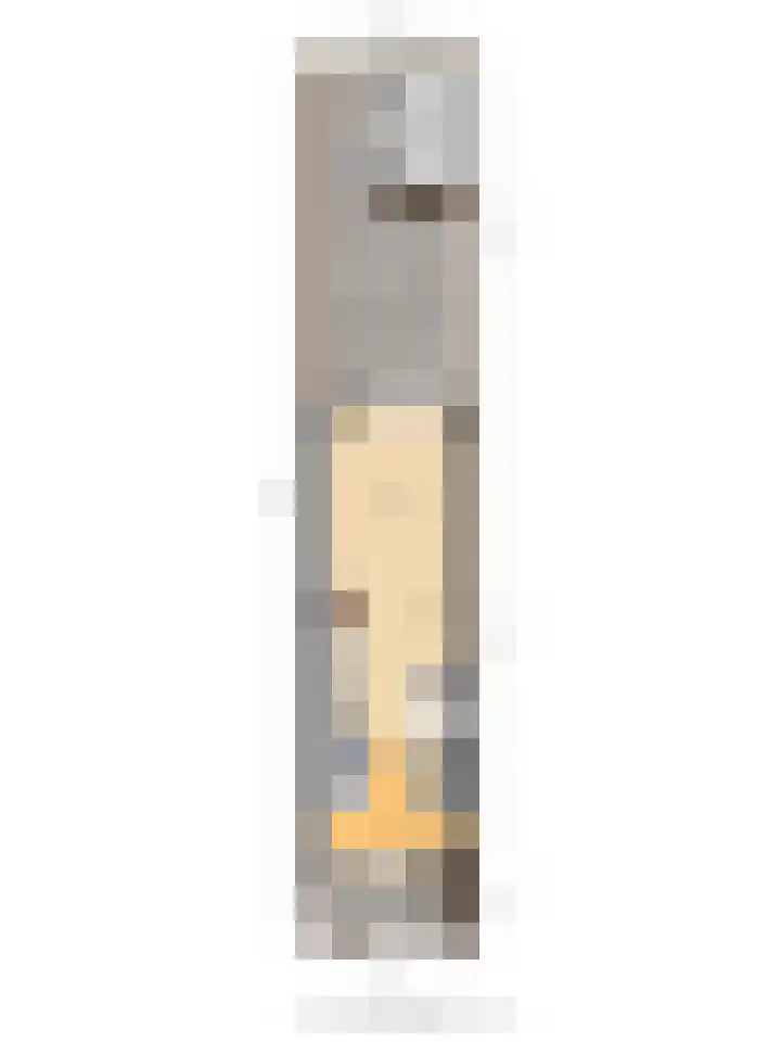 Fresiatuin 16 Pijnacker thumbnail 25