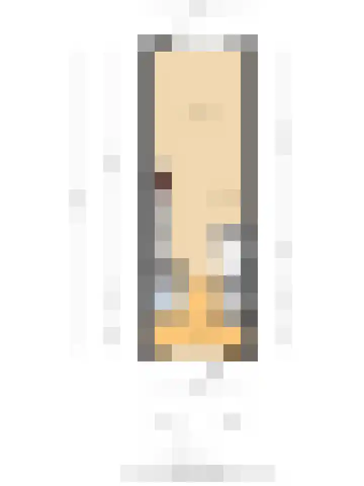 Fresiatuin 16 Pijnacker thumbnail 26