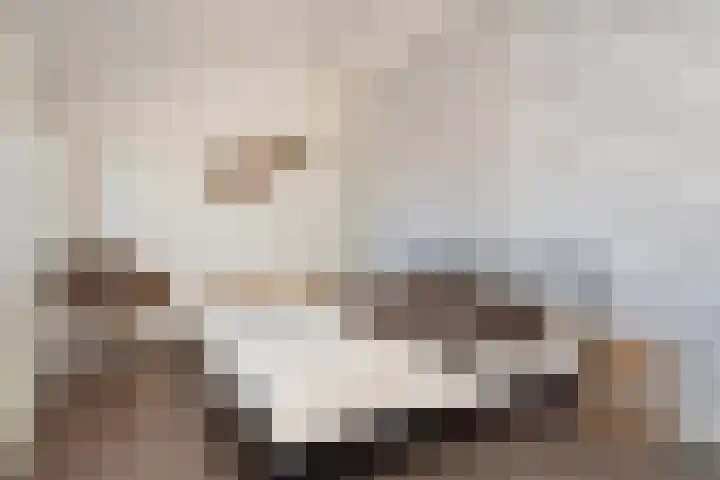 Fresiatuin 16 Pijnacker thumbnail 27