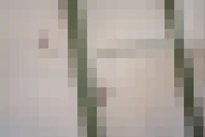 Fresiatuin 16 Pijnacker thumbnail 28