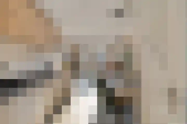 Fresiatuin 16 Pijnacker thumbnail 4