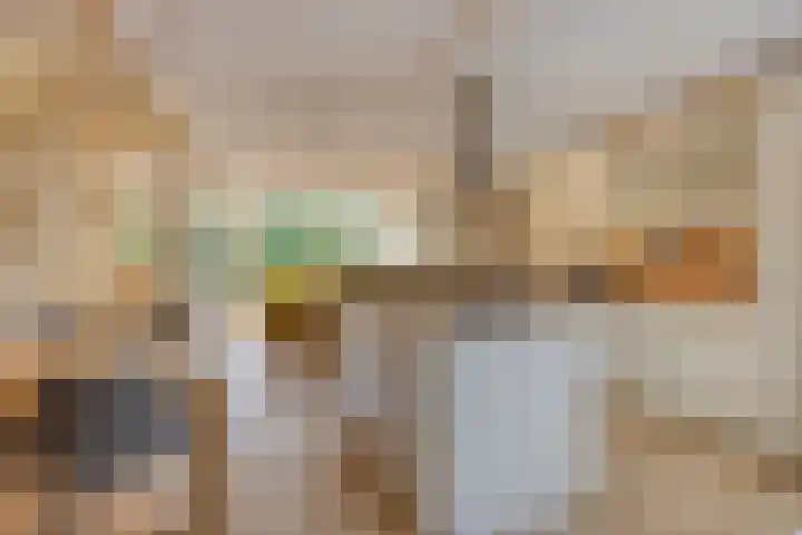 Fresiatuin 16 Pijnacker thumbnail 5