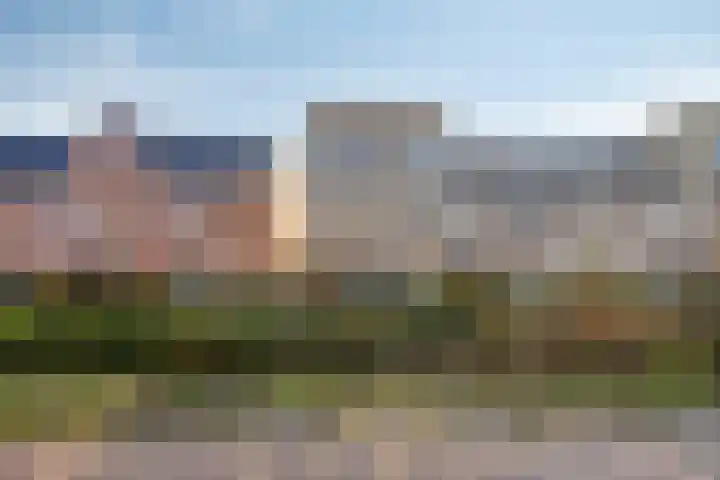 Fresiatuin 16 Pijnacker thumbnail 5
