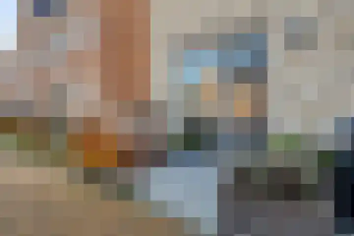 Fresiatuin 16 Pijnacker thumbnail 6