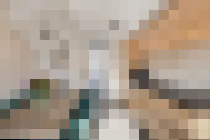 Fresiatuin 16 Pijnacker thumbnail 9