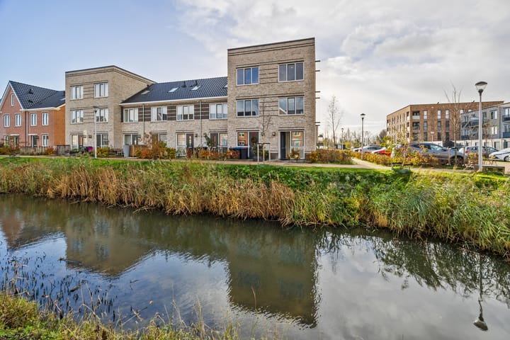 Fresiatuin 2 in Pijnacker foto