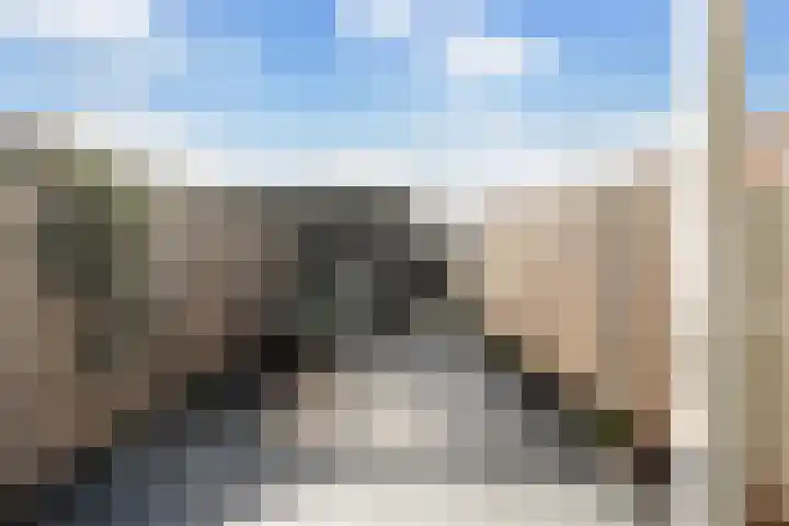 Fresiatuin 6 Pijnacker thumbnail 15