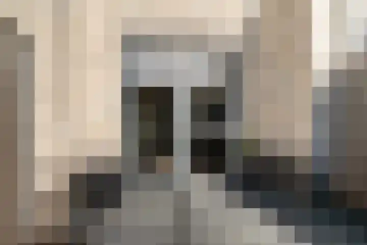 Fresiatuin 6 Pijnacker thumbnail 16