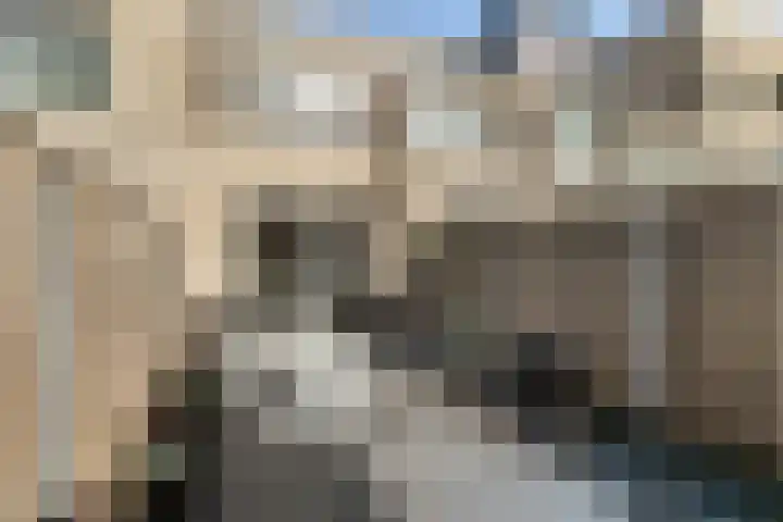 Fresiatuin 6 Pijnacker thumbnail 17