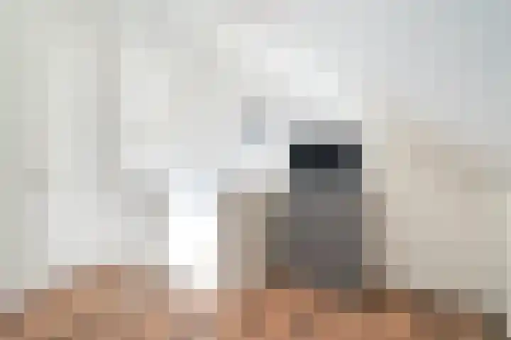 Fresiatuin 6 Pijnacker thumbnail 24