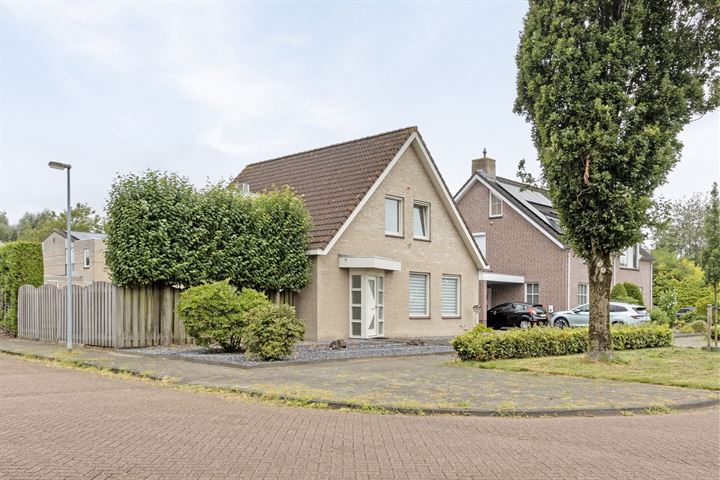 Fret 25 in Veldhoven foto