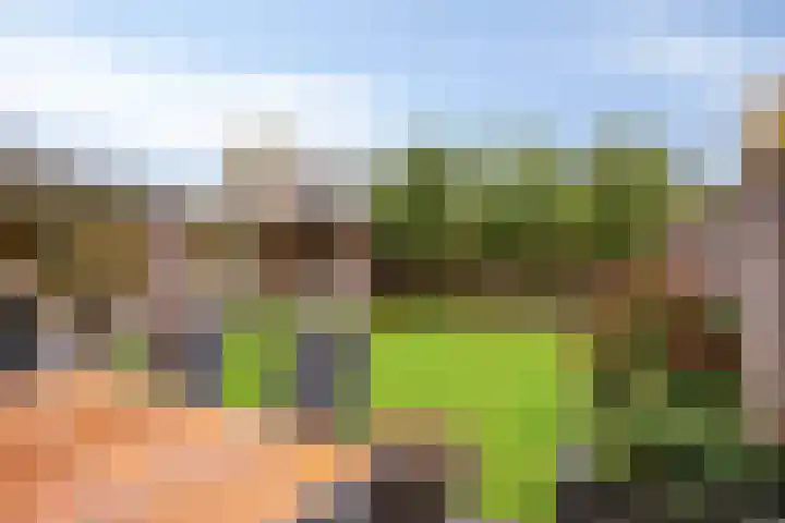 Fret 27 Veldhoven thumbnail 26