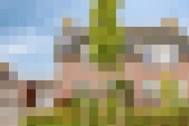 Fret 27 Veldhoven thumbnail 30