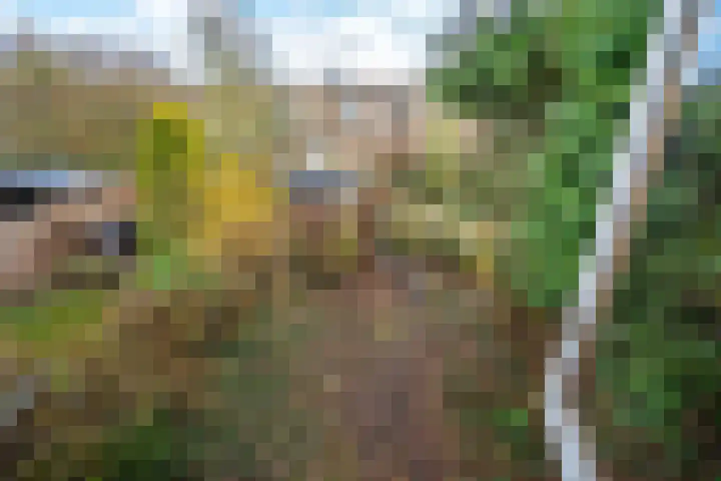 Fretweide 18 Zoetermeer thumbnail 19