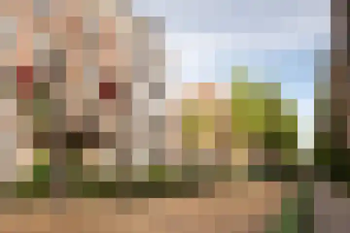 Fretweide 18 Zoetermeer thumbnail 30
