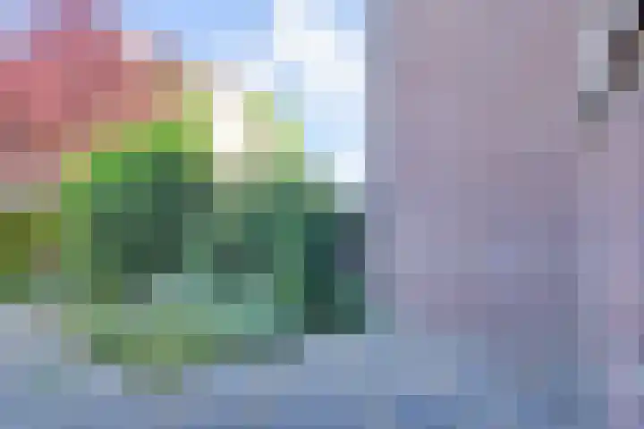 Fretweide 5 Zoetermeer thumbnail 38