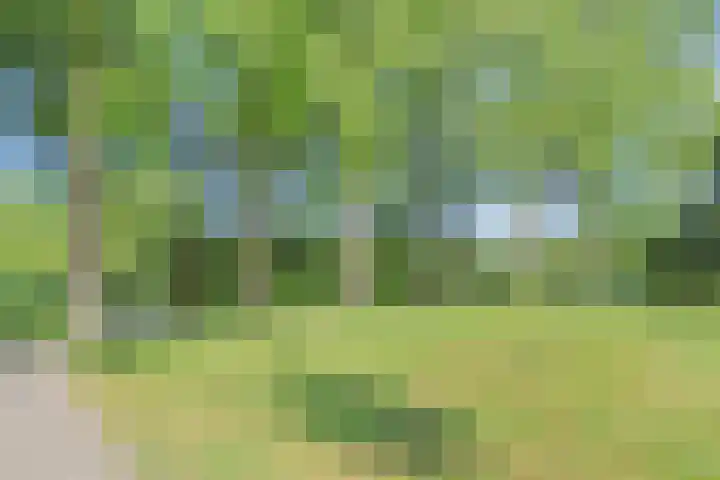 Fretweide 5 Zoetermeer thumbnail 42