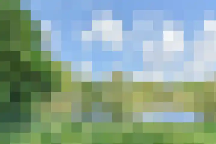 Fretweide 5 Zoetermeer thumbnail 43