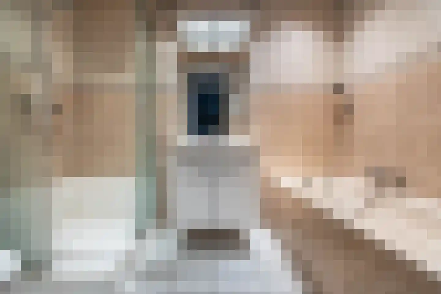 Freudstraat 4 Haarlem thumbnail 21