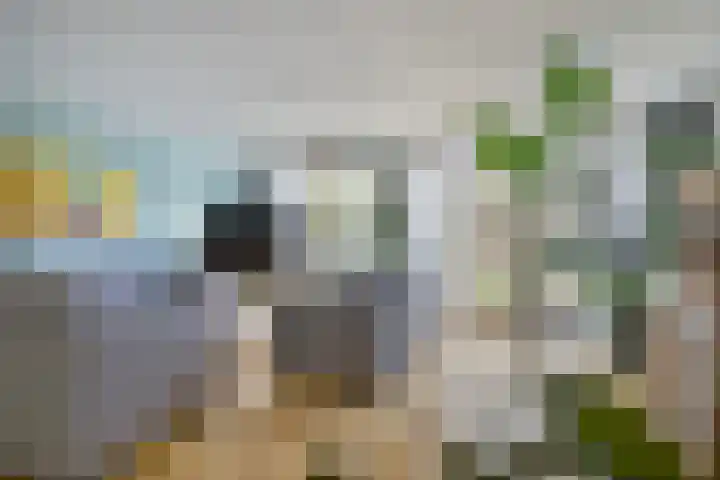 Freule van Dorthsingel 17 Pijnacker thumbnail 11