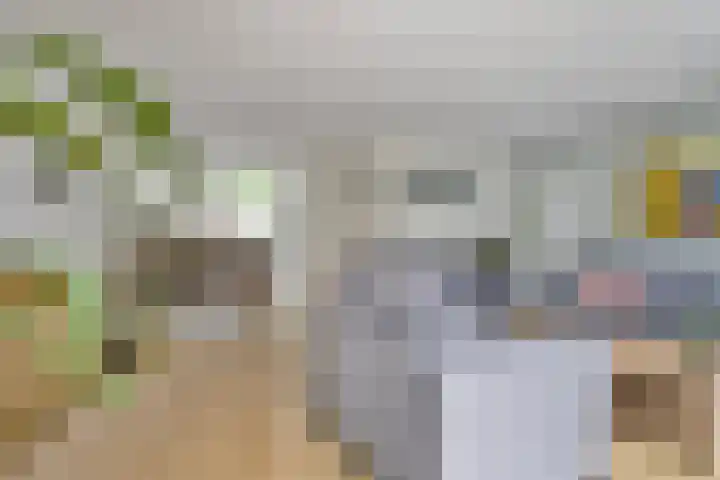 Freule van Dorthsingel 17 Pijnacker thumbnail 12