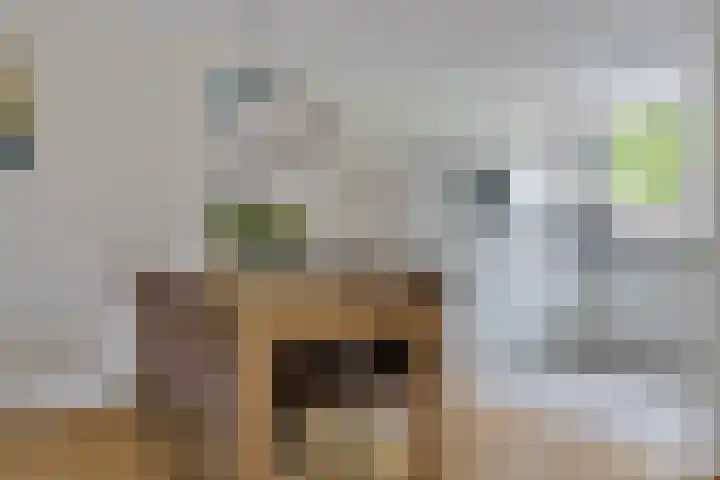 Freule van Dorthsingel 17 Pijnacker thumbnail 15