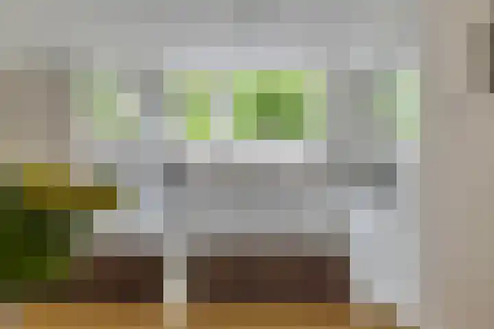 Freule van Dorthsingel 17 Pijnacker thumbnail 16