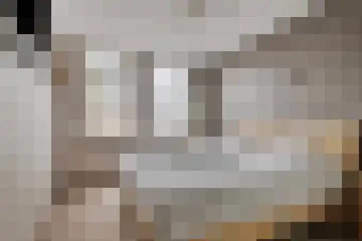 Freule van Dorthsingel 17 Pijnacker thumbnail 22