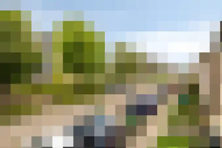 Freule van Dorthsingel 17 Pijnacker thumbnail 32