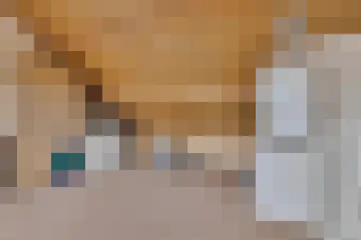 Freule van Dorthsingel 17 Pijnacker thumbnail 35
