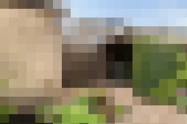 Freule van Dorthsingel 17 Pijnacker thumbnail 38