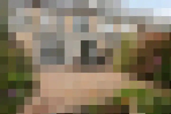 Freule van Dorthsingel 17 Pijnacker thumbnail 39