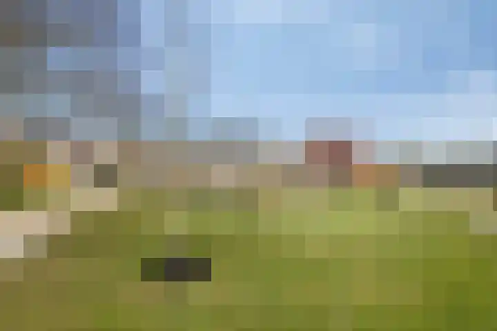 Freule van Dorthsingel 17 Pijnacker thumbnail 42