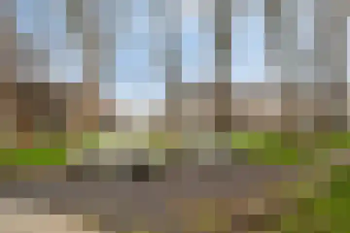 Freule van Dorthsingel 17 Pijnacker thumbnail 43