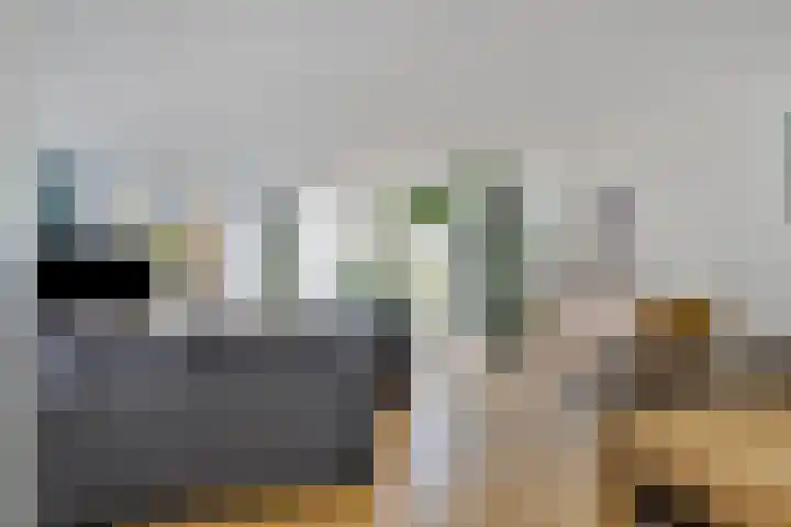 Freule van Dorthsingel 17 Pijnacker thumbnail 8