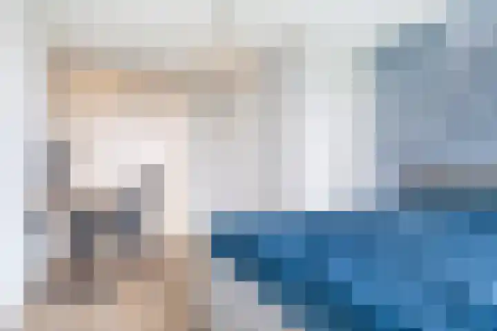 Freulestrjitte 19 Driezum thumbnail 21