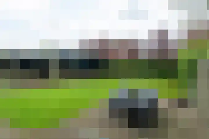 Freulestrjitte 19 Driezum thumbnail 32