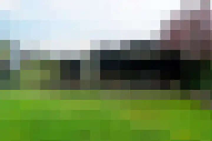 Freulestrjitte 19 Driezum thumbnail 36