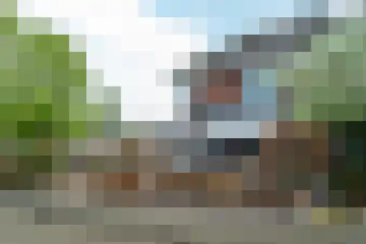Freulestrjitte 19 Driezum thumbnail 38