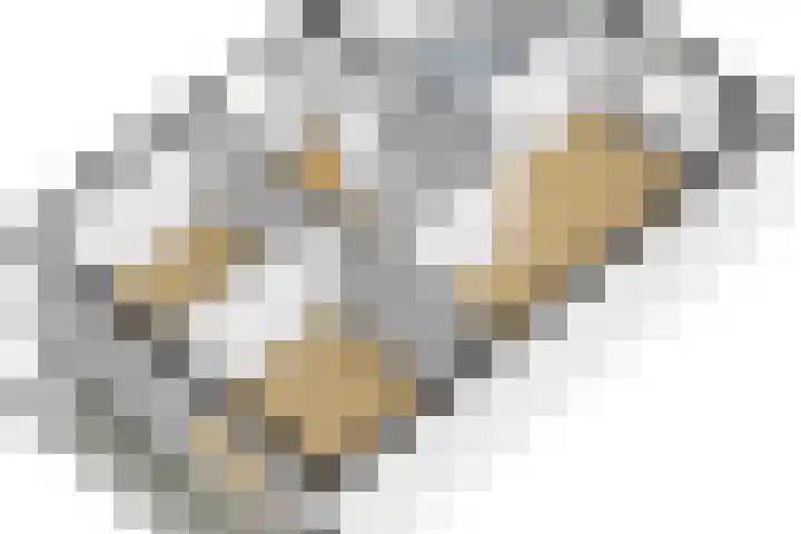 Freulestrjitte 19 Driezum thumbnail 45