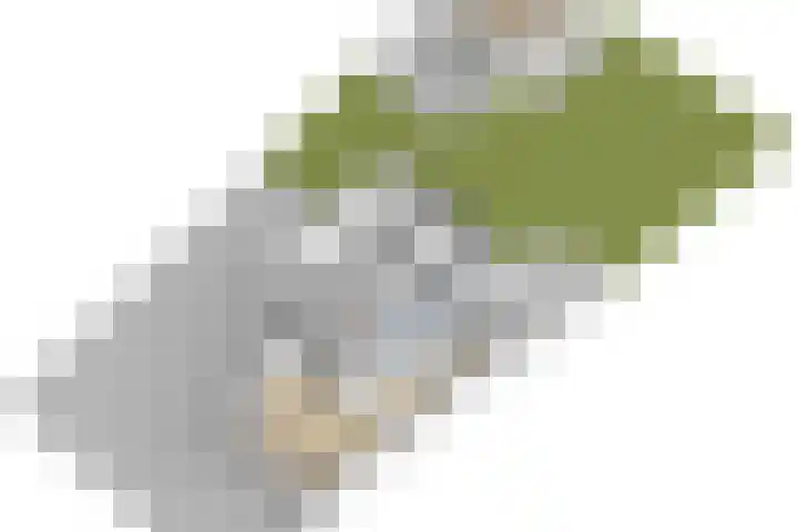 Freulestrjitte 19 Driezum thumbnail 48