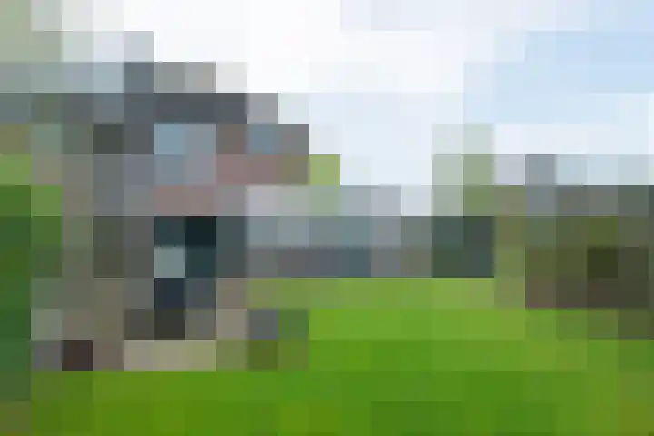 Freulestrjitte 19 Driezum thumbnail 5