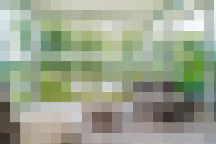 Freya 11 Blauwestad thumbnail 17